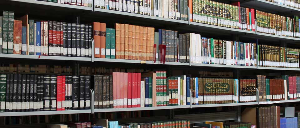 1° Year of Licentiate