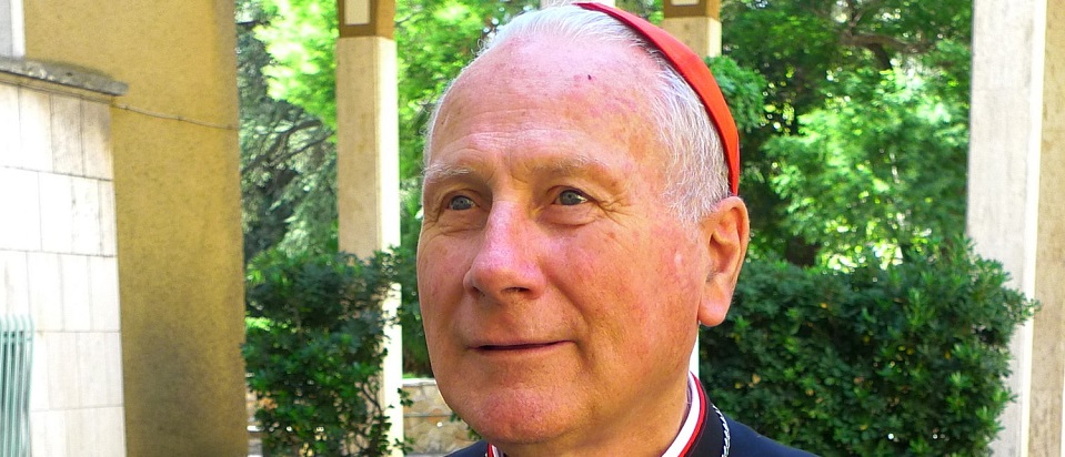On 17 June 2020, the Catholic Theological Union in Chicago honored Cardinal Michael L. Fitzgerald with its annual Blessed Are the Peacemakers award.
