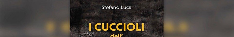 Publication of Fr. Stefano Luca